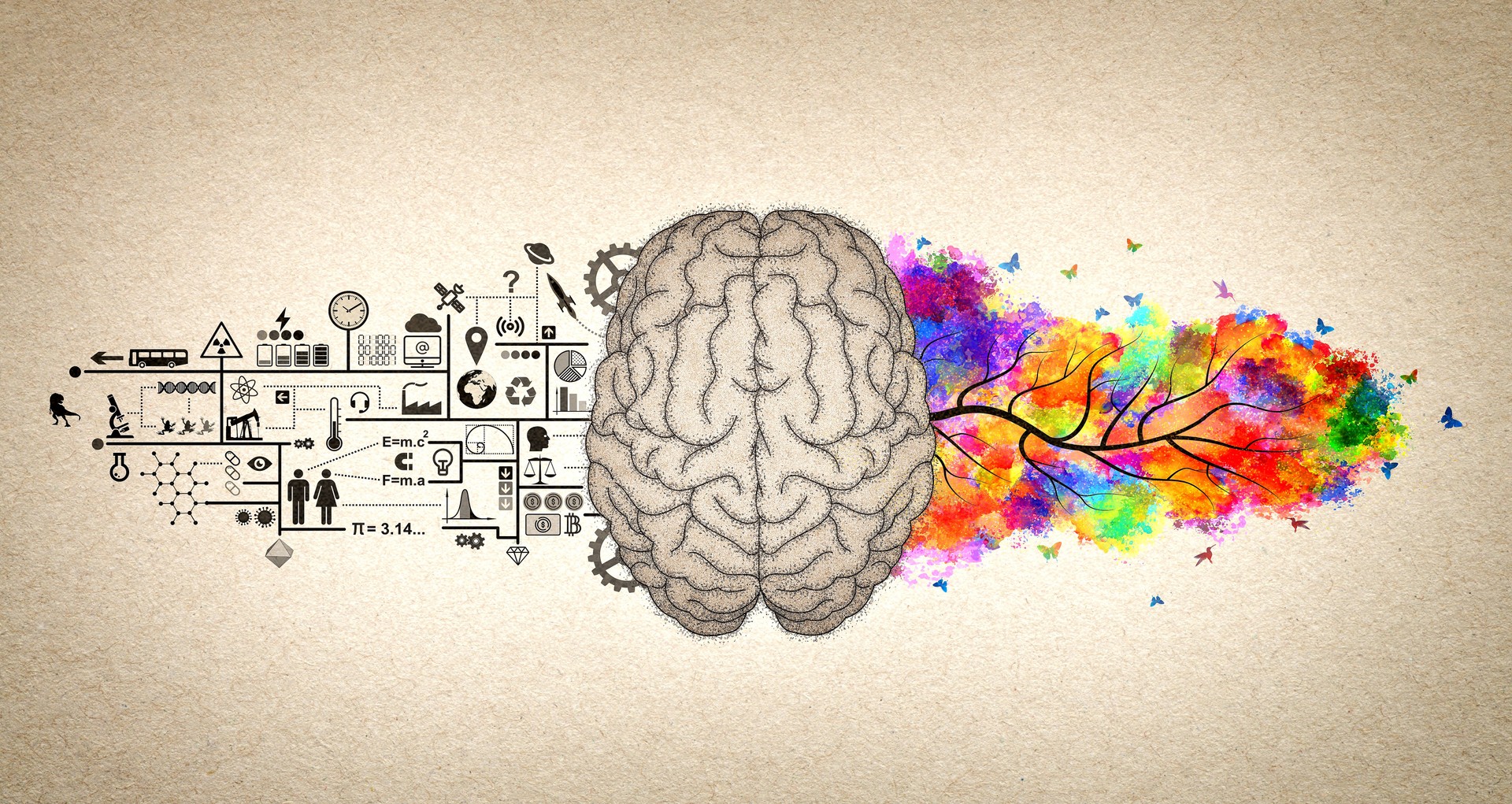 Brain Functions - Left Brain and Right Brain Conceptual Illustration